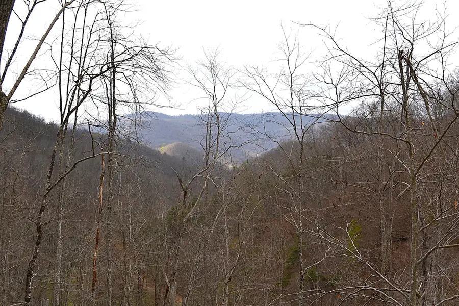 Snake Run Rd, Dawson, WV 24910 - #2