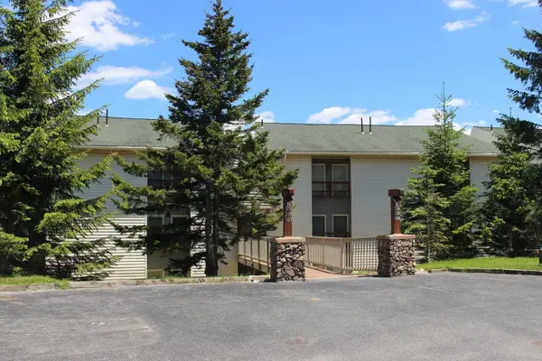 104b Leatherbark, Snowshoe, WV 26209