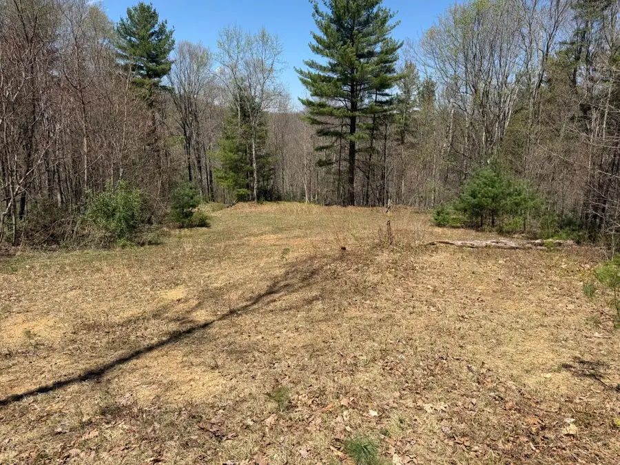 Morris Branch Road, Meadow Bridge, WV 25976 - #2