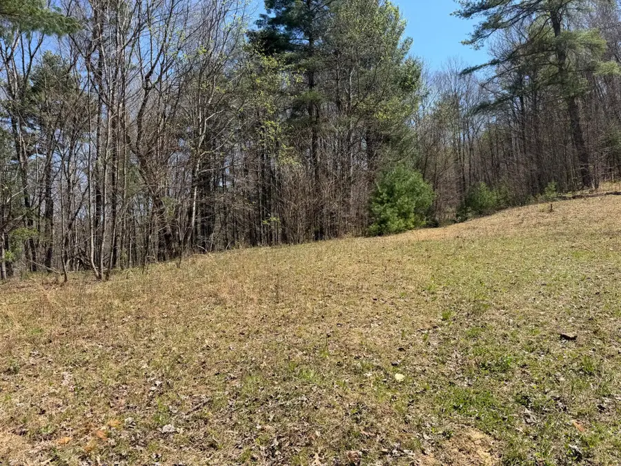 Morris Branch Road, Meadow Bridge, WV 25976 - #3