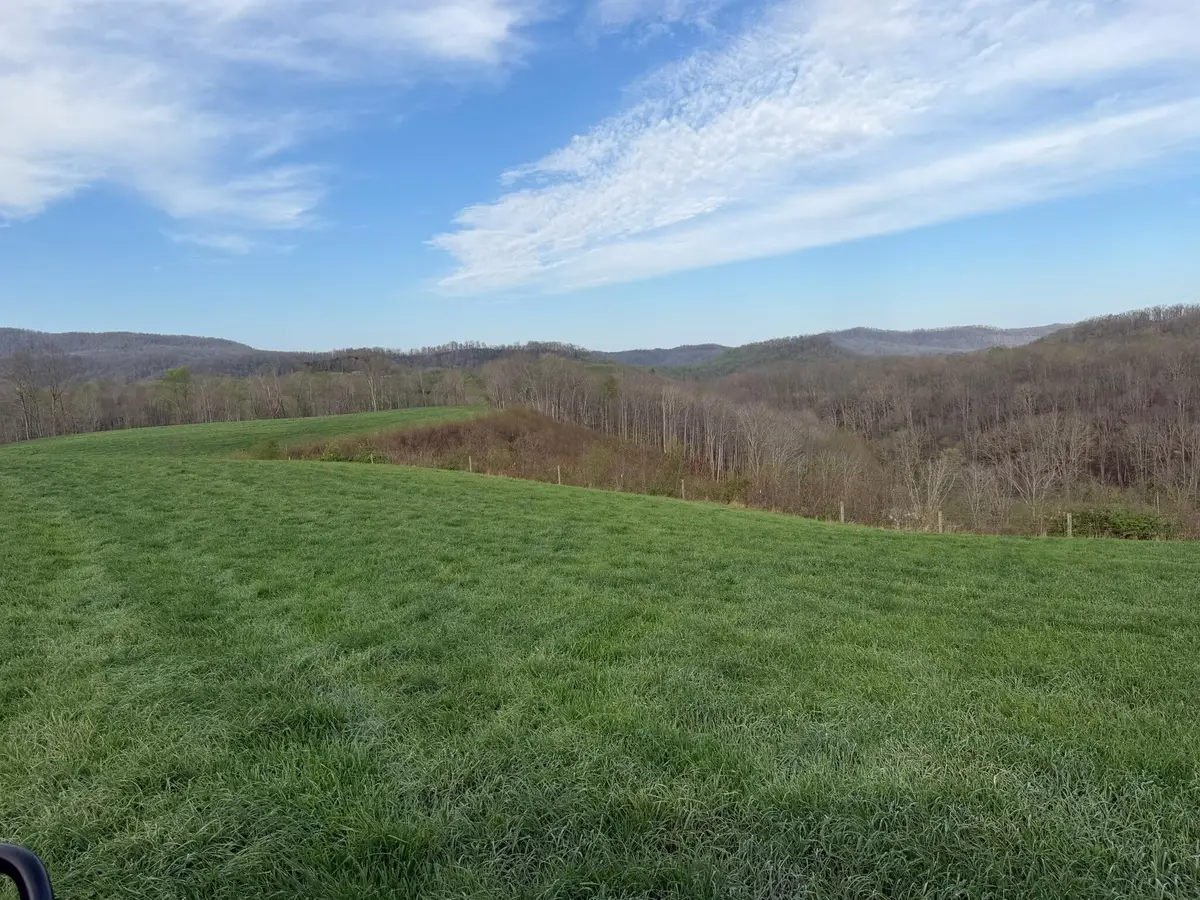 1999 Snake Run Rd, Alderson, WV 24910 - #1