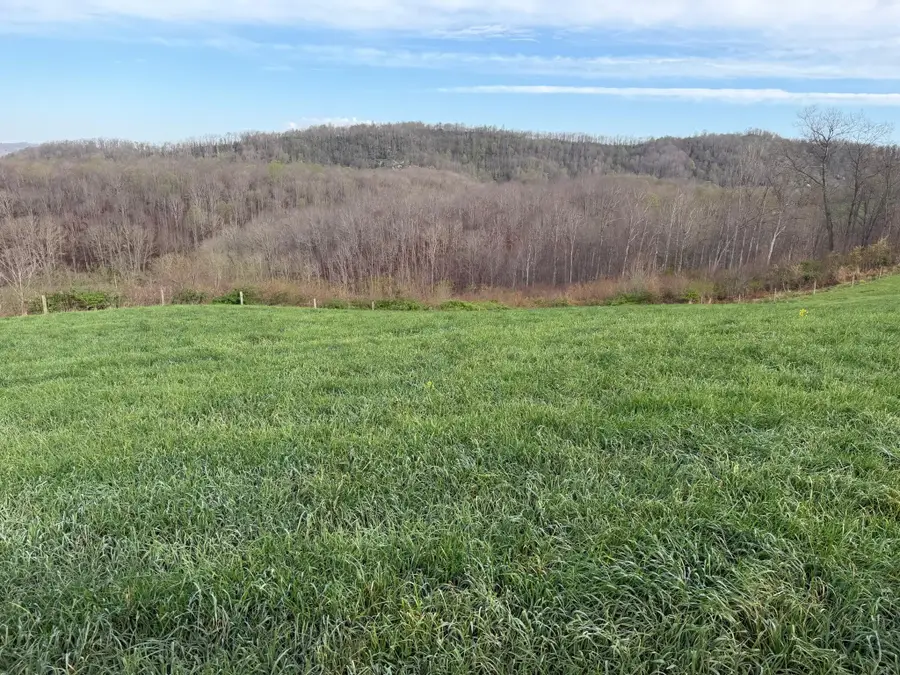 1999 Snake Run Rd, Alderson, WV 24910 - #2