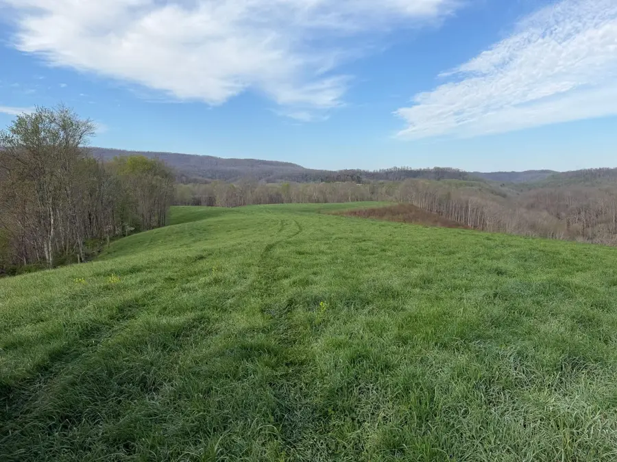 1999 Snake Run Rd, Alderson, WV 24910 - #3