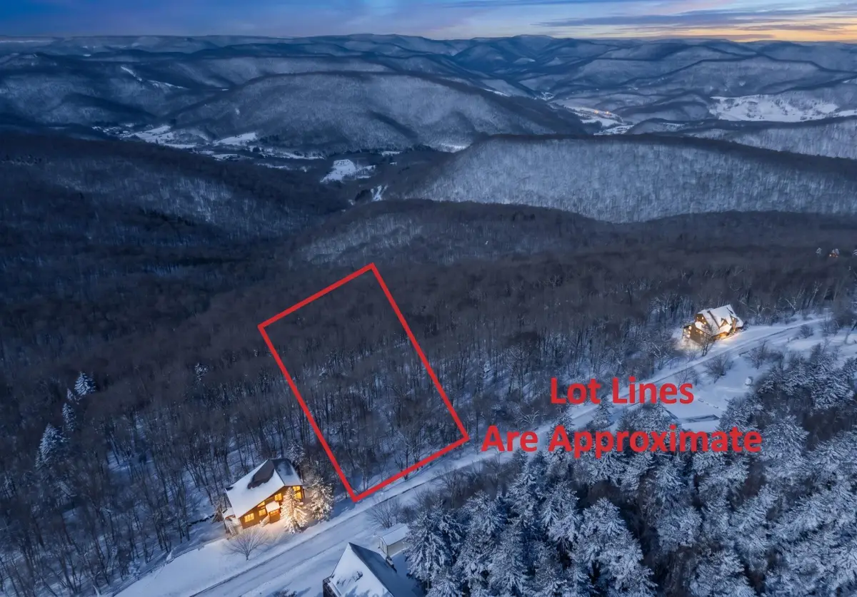 371 S West Ridge Road, Snowshoe, WV 26209 - #1