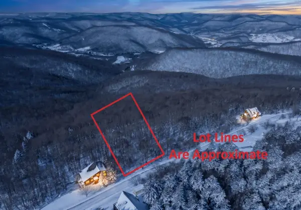 371 S West Ridge Road, Snowshoe, WV 26209