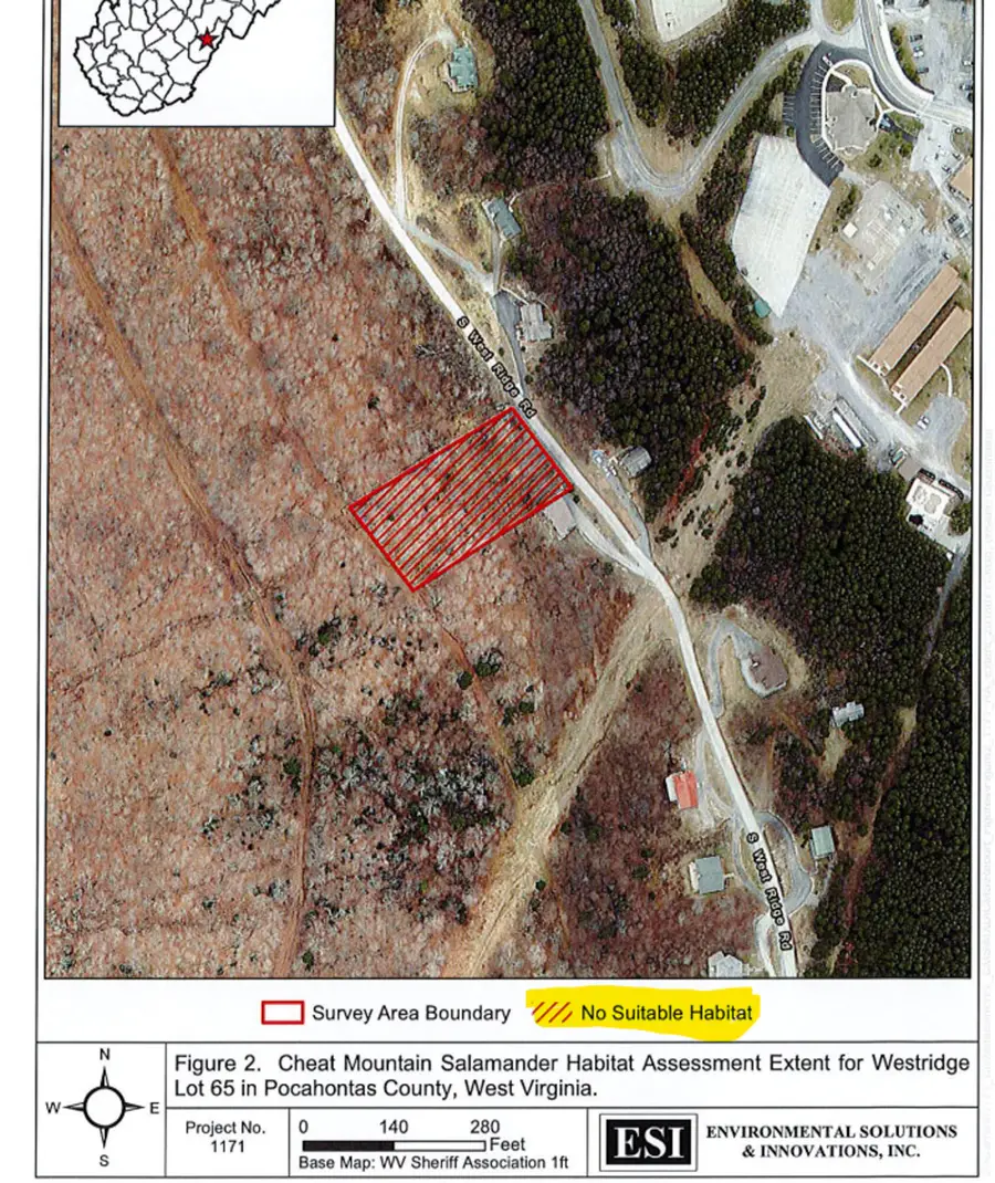 371 S West Ridge Road, Snowshoe, WV 26209 - #3