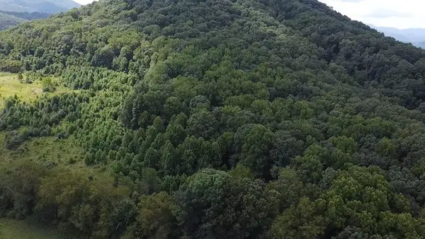 Scenic Lane, Rich Creek, VA 24147