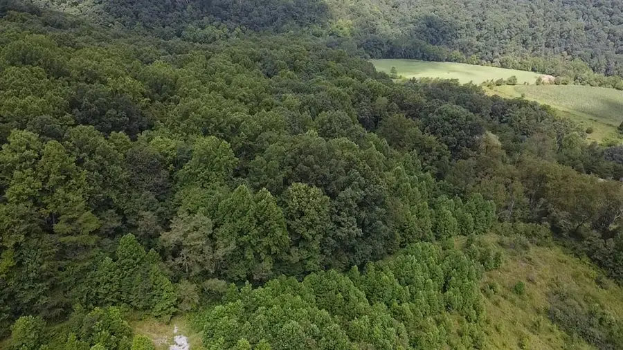 Scenic Lane, Rich Creek, VA 24147 - #2