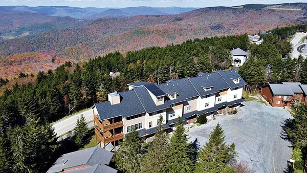 3 Shays Landing, Snowshoe, WV 26209