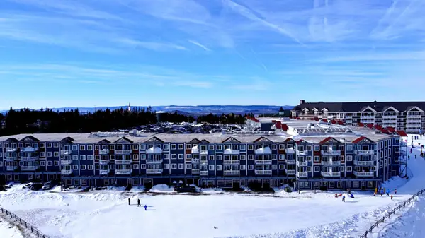 294 Mountain Lodge, Snowshoe, WV 26209