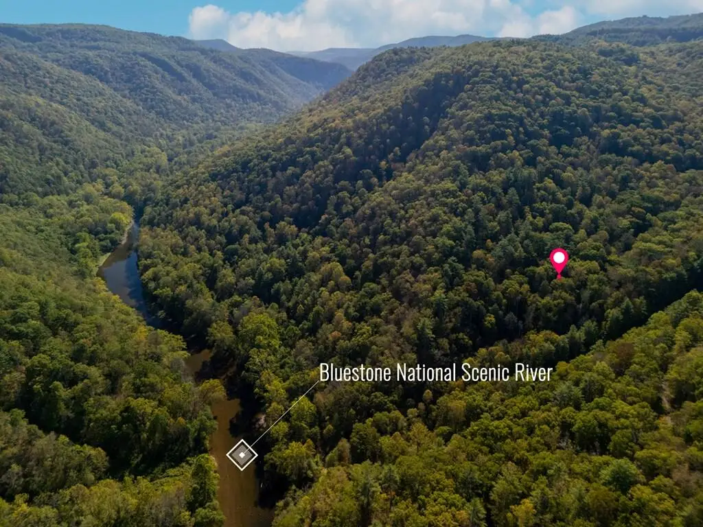 0 Bluestone River Road, Bluestone River, WV 25951 - #1