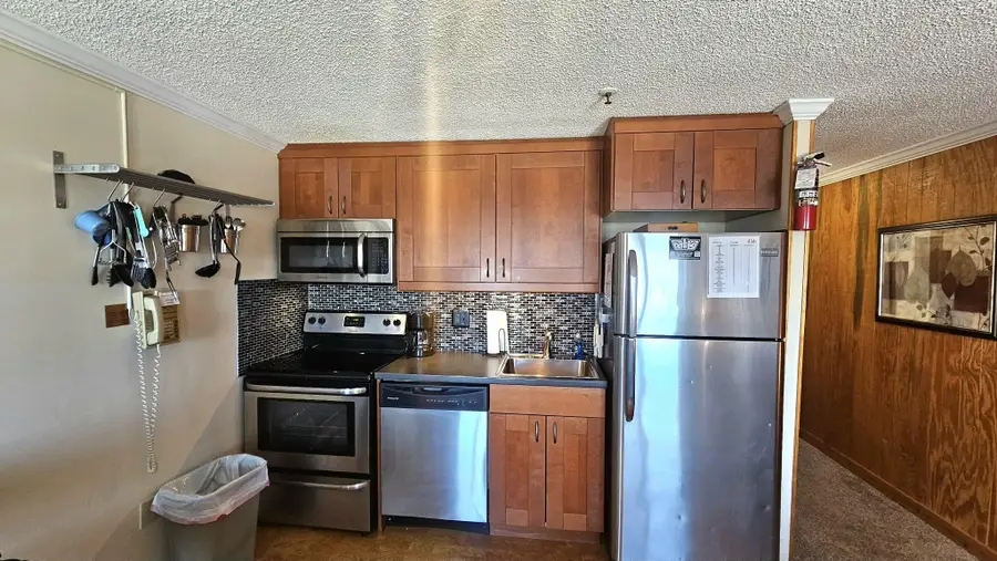 75 Mountain Lodge Ln, Snowshoe, WV 26209 - #2