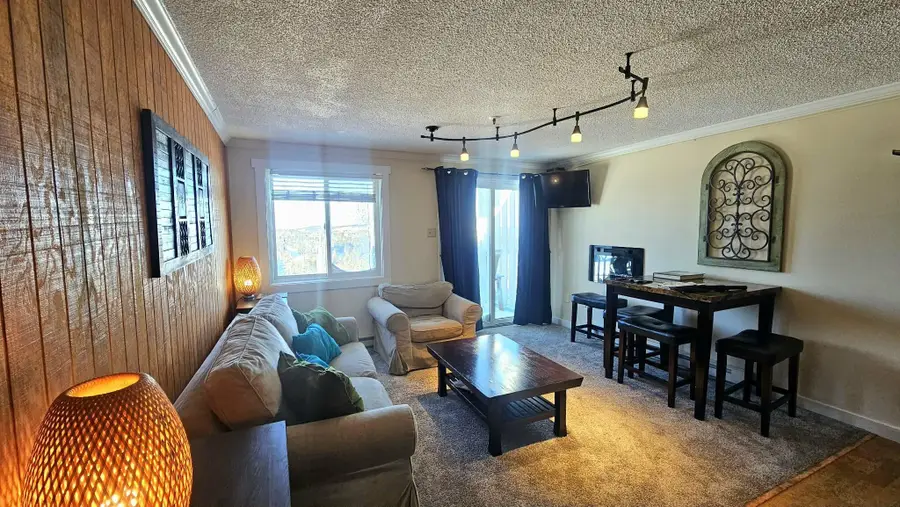 75 Mountain Lodge Ln, Snowshoe, WV 26209 - #3