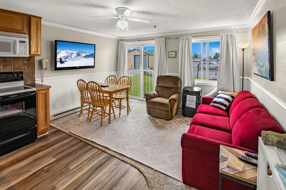 147 Mountain Lodge, Snowshoe, WV 26209 - #1