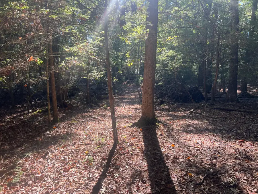 Asbury Trace, Asbury, WV 24910 - #3