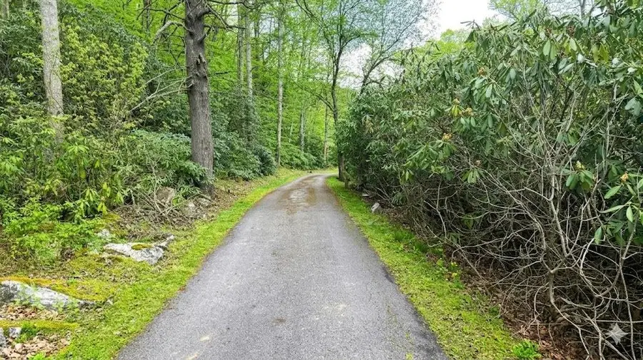 407 Old Route 39 Rd, Marlinton, WV 24954 - #3
