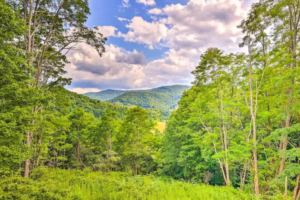 516 Hillside Ln, Slatyfork, WV 26291 - #1