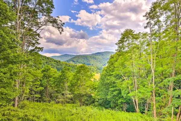 516 Hillside Ln, Slatyfork, WV 26291