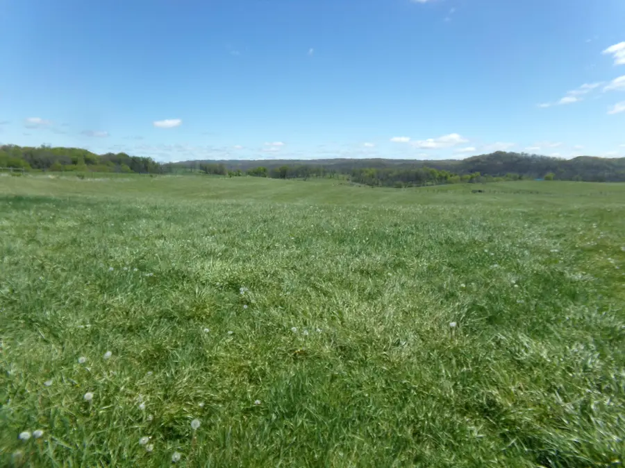 Friars Hill Rd, Trout, WV 24991 - #2