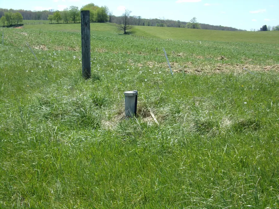 Friars Hill Rd, Trout, WV 24991 - #3