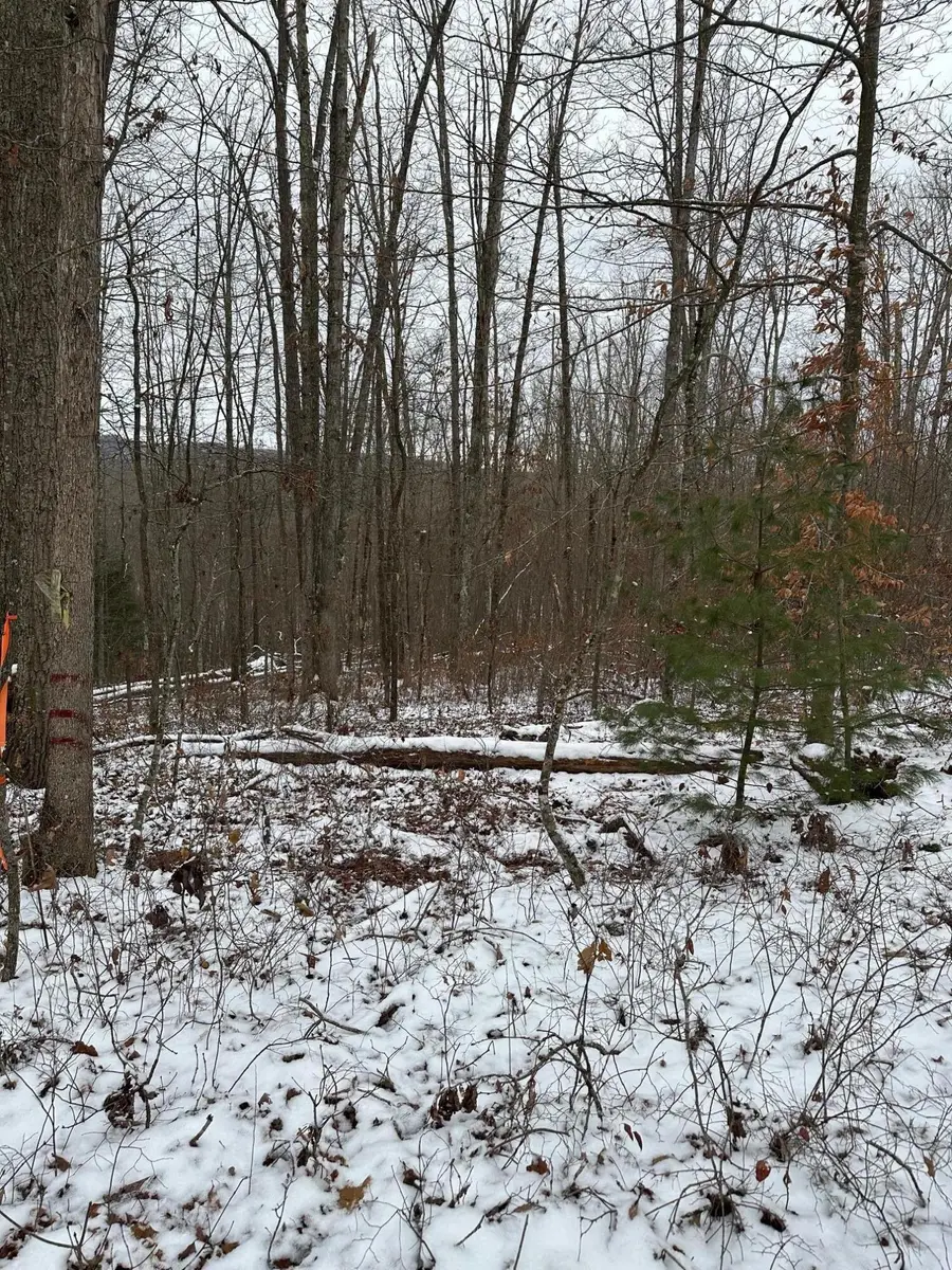 Tbd Watts Drive, Lewisburg, WV 24901 - Image #3