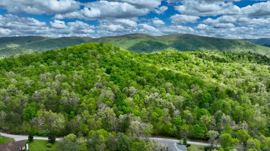 Stonehenge Pkwy, Lewisburg, WV 24901 - #3