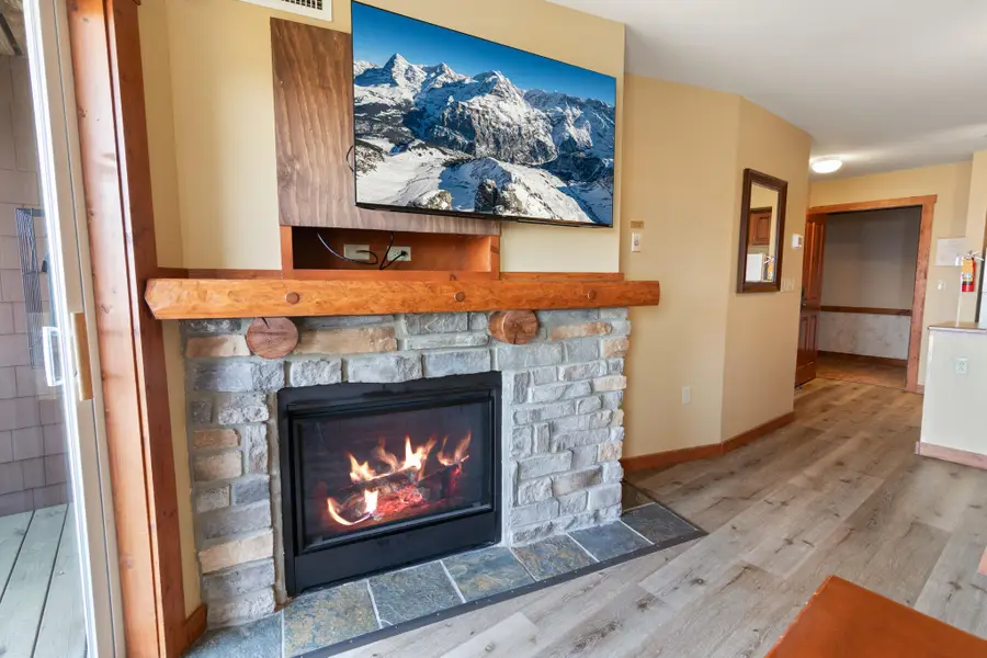 117 Highland House, Snowshoe, WV 26209 - #3