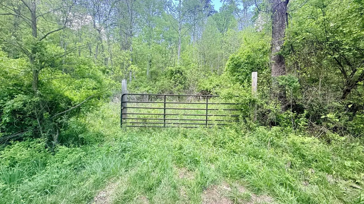 Powell Mountain Rd, Peterstown, WV 24963 - #1