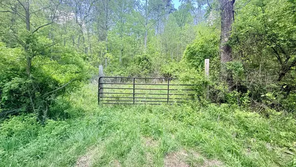 Powell Mountain Rd, Peterstown, WV 24963