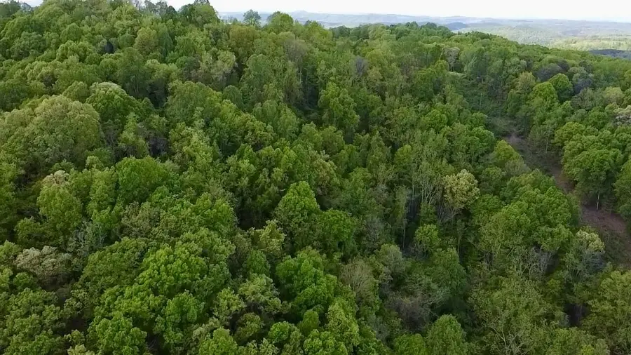 Powell Mountain Rd, Peterstown, WV 24963 - #2