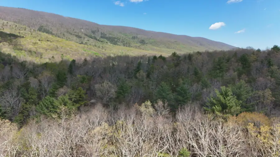 806 Misty Mountain Rd, Waiteville, WV 24984 - #2