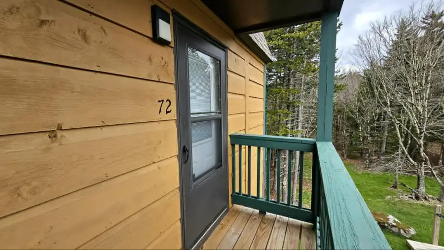 42 Ridgewood St., Snowshoe, WV 26209 - #2