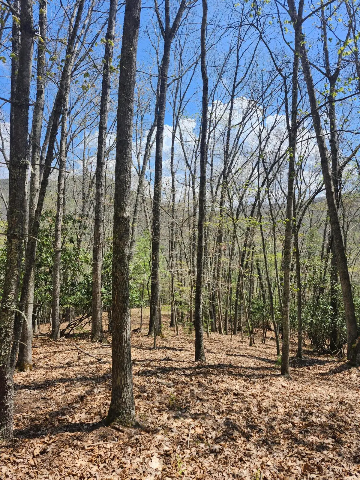 S Trailside Ln, Hillsboro, WV 24946 - #1