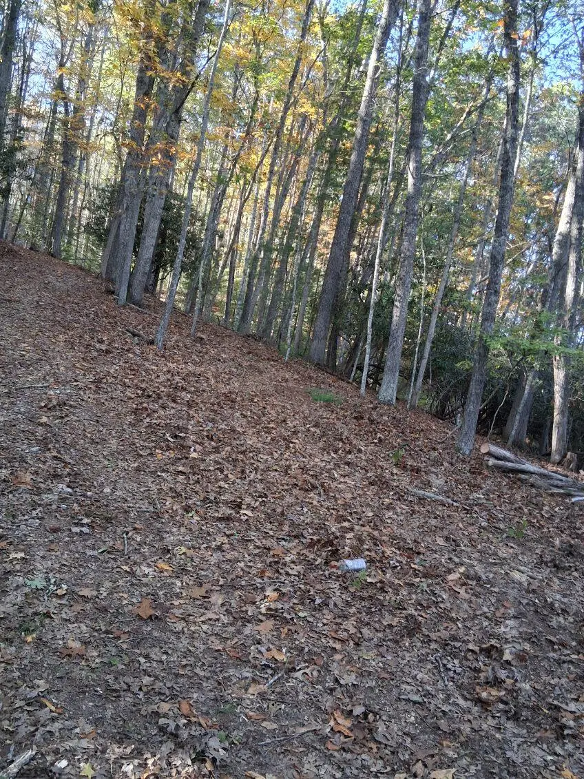 S Trailside Ln, Hillsboro, WV 24946 - #3