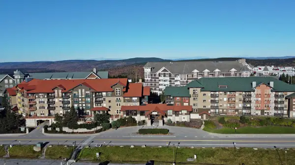 406 Rimfire, Snowshoe, WV 26209
