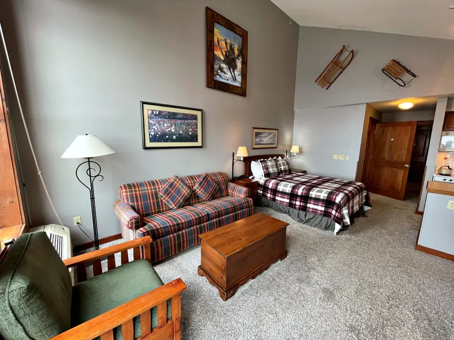 406 Rimfire, Snowshoe, WV 26209 - #3