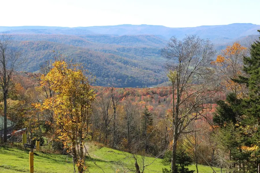 1227 N Westridge, Snowshoe, WV 26209 - #2