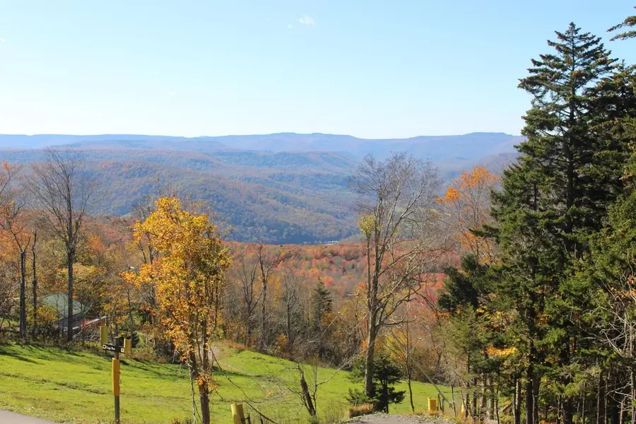 1227 N Westridge, Snowshoe, WV 26209 - #3
