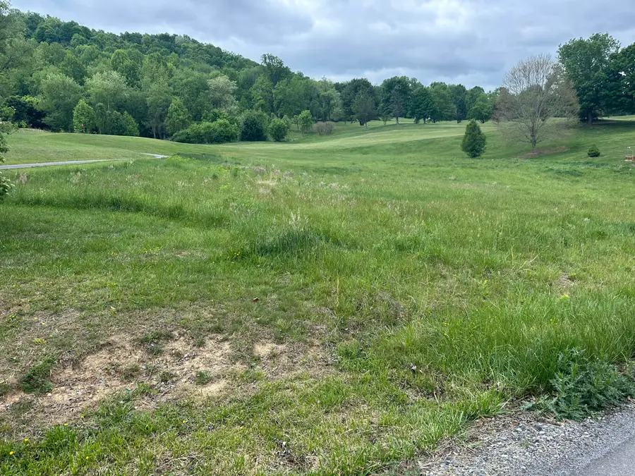 Tbd Fountain Springs Dr, Peterstown, WV 24963 - #2