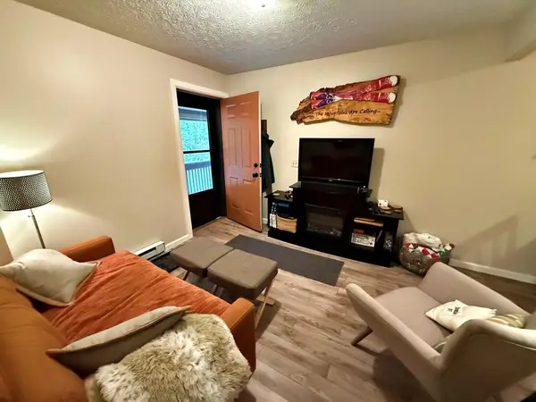 10 Mace Mountain View, Slatyfork, WV 26291