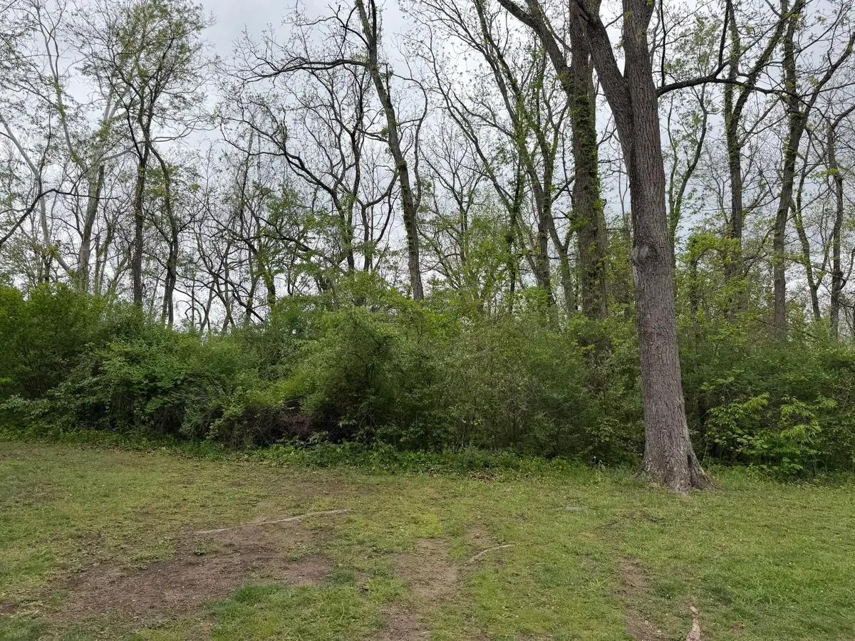 Alta Dr, Alderson, WV 24910 - #1