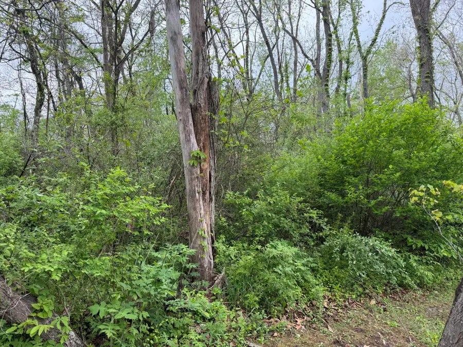 Alta Dr, Alderson, WV 24910 - #2
