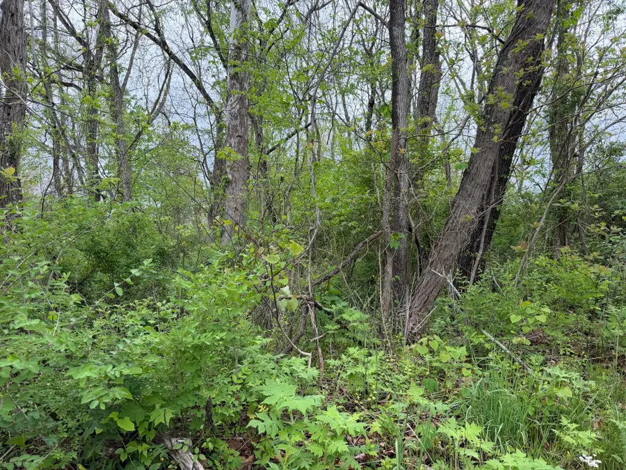 Alta Dr, Alderson, WV 24910 - #3