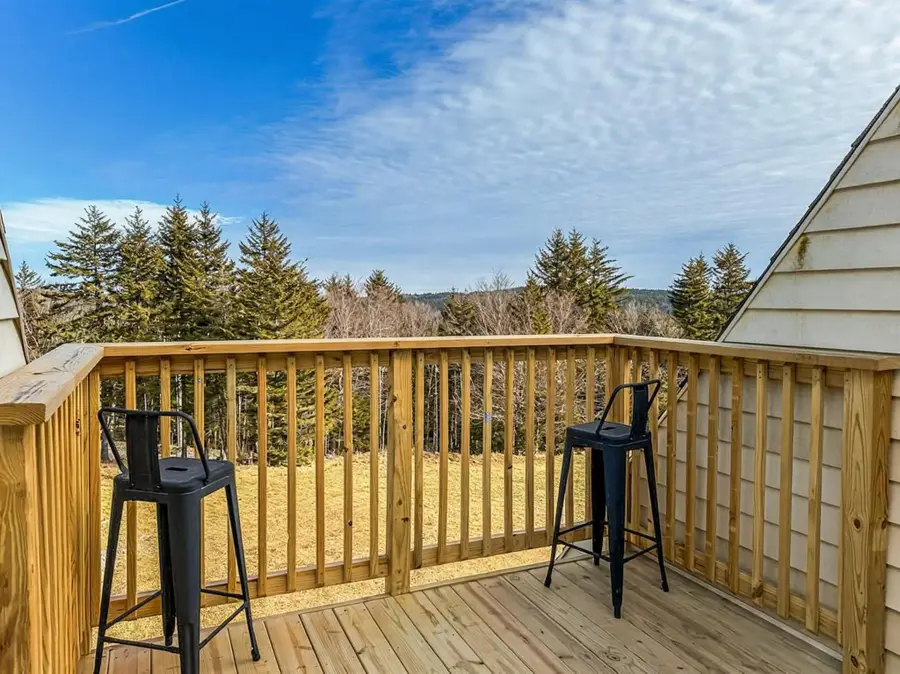 51 Leatherbark Ln, Snowshoe, WV 26209 - #2