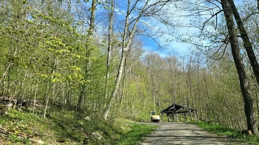 Lot 36 Hideaway, Slatyfork, WV 26291 - #3