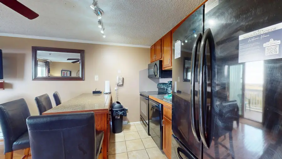 174 Mountain Lodge, Snowshoe, WV 26209 - #2