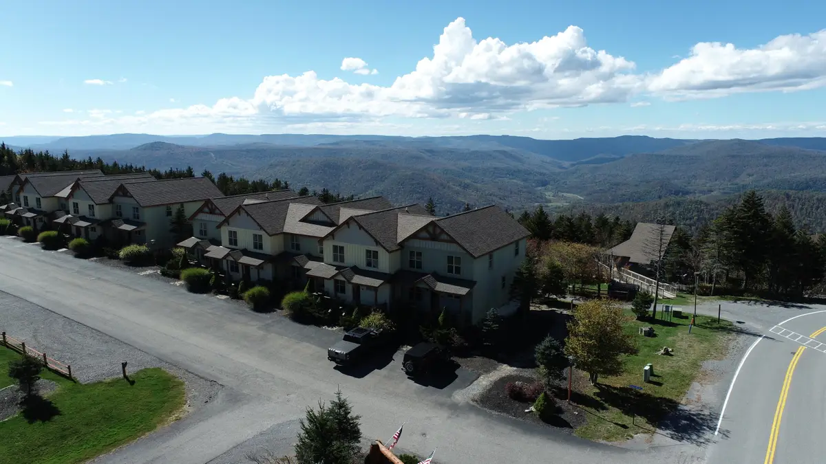 84 Black Bear Circle, Snowshoe, WV 26209 - #1
