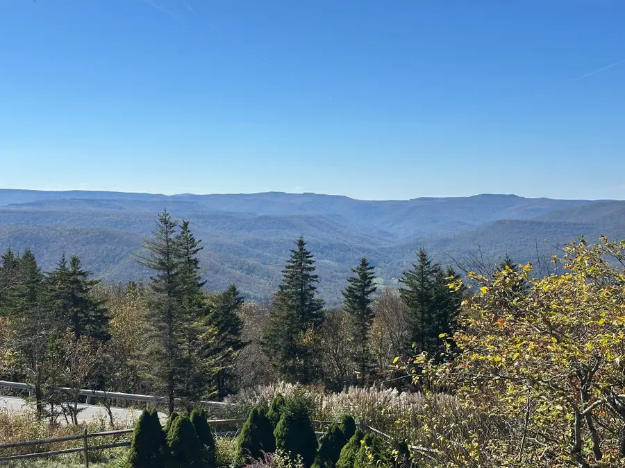 84 Black Bear Circle, Snowshoe, WV 26209 - #2