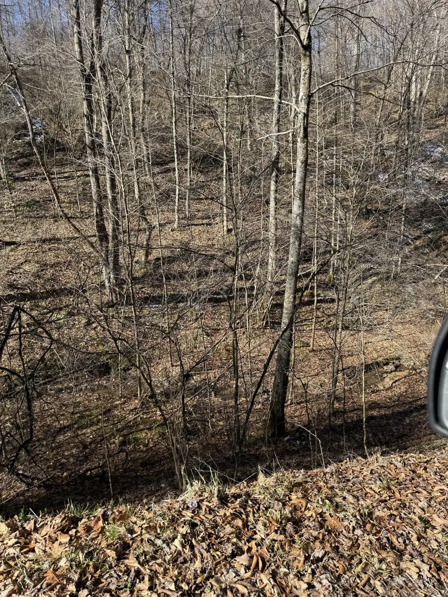 1900 Mt View Rd, Cool Ridge, WV 25825 - Image #2