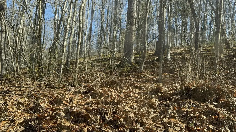 1900 Mt View Rd, Cool Ridge, WV 25825 - Image #3